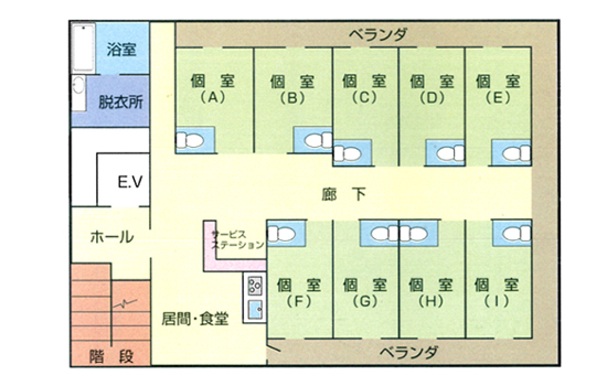 平面図